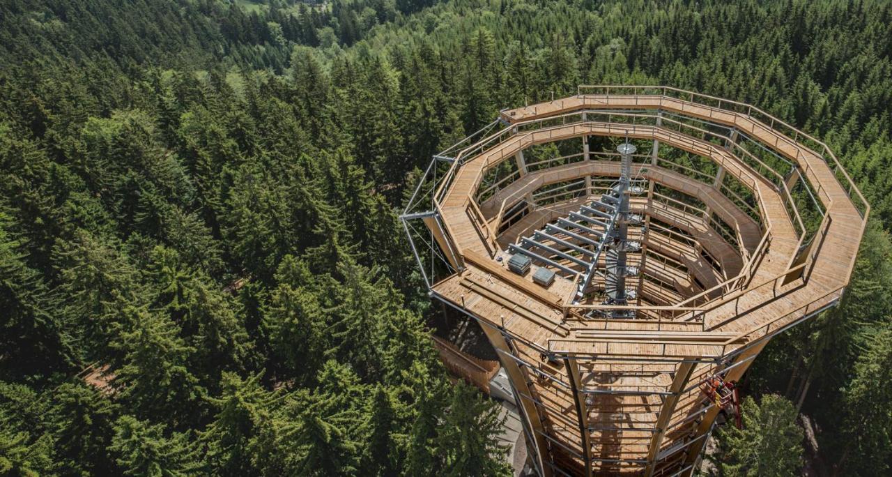 Villa Čtyřicítka na Šťastném kopci Černý Důl Exterior foto